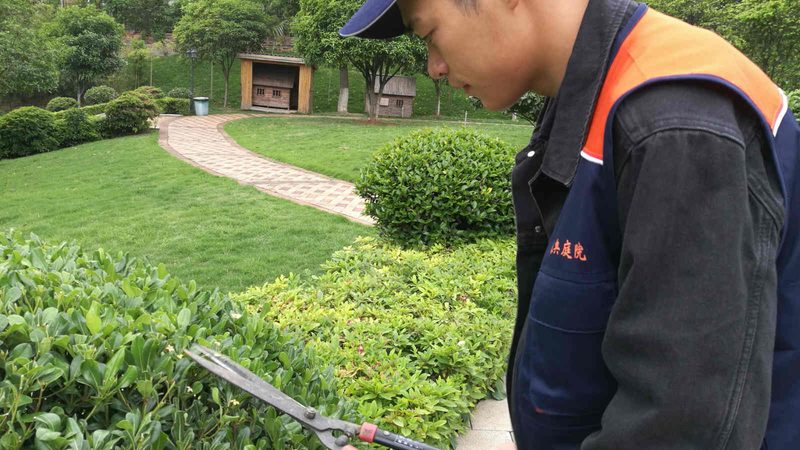 城市绿化资质办理：流程揭秘与费用解析