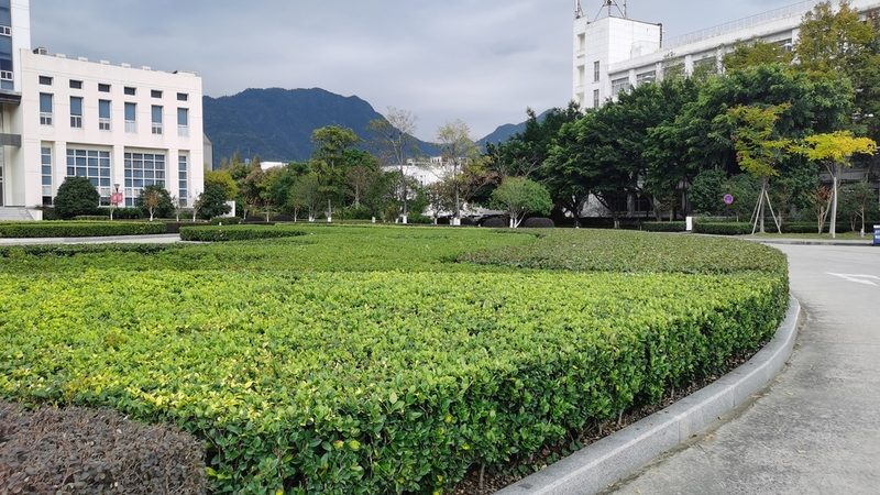 屋顶绿化材料费用是构成每平米价格的主要部分，包括但不限于以下几种：