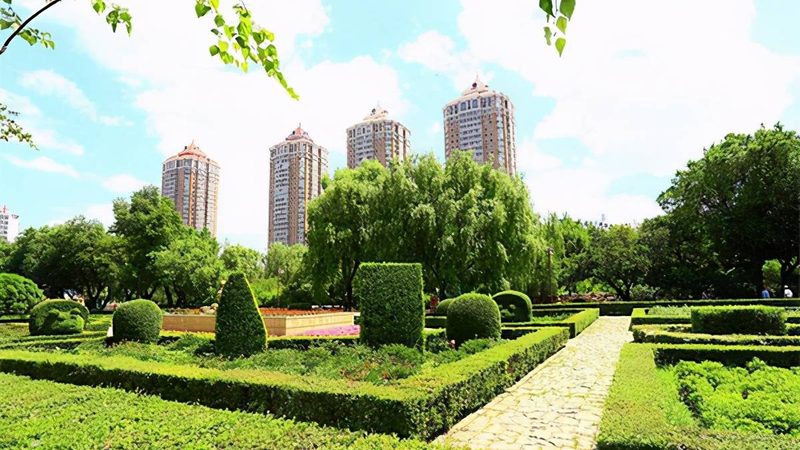 道路绿化植物层次搭配，打造生态景观**