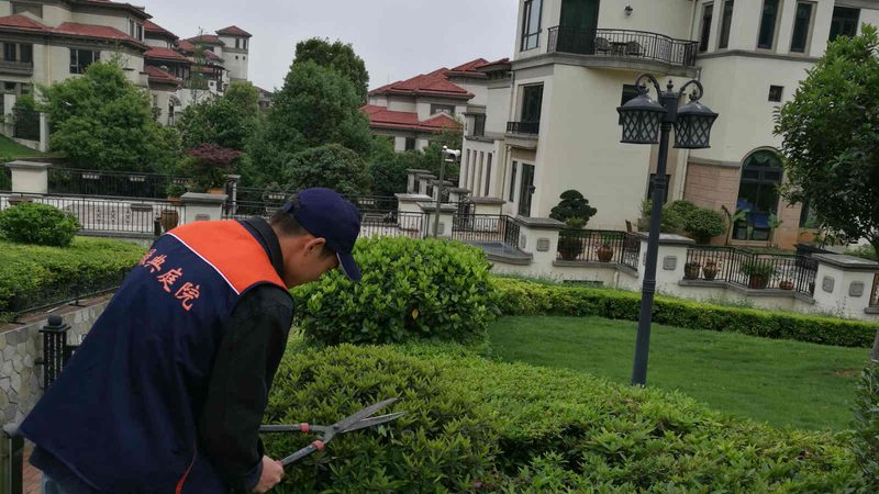 立体绿化工程：打造城市绿意新篇章
