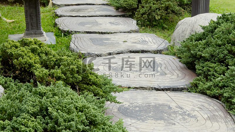 灌木间距如何控制？病虫害防治技巧揭秘