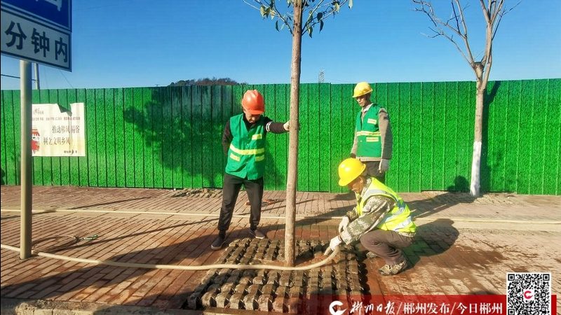 工厂绿化养护设备清单解析**