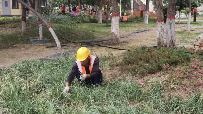 市政绿化施工资质复审步骤详解