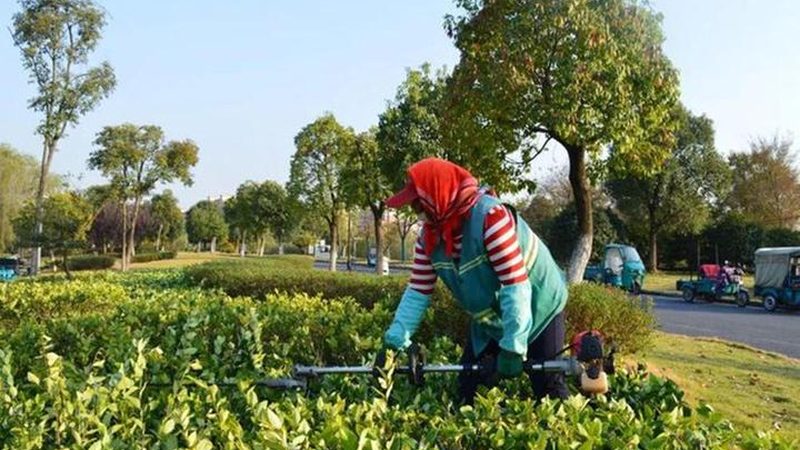 边坡喷播植草材料：揭秘其批发价格背后的奥秘