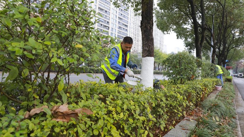 喷播绿化市场的排名困局：别被厂家名单牵着走
