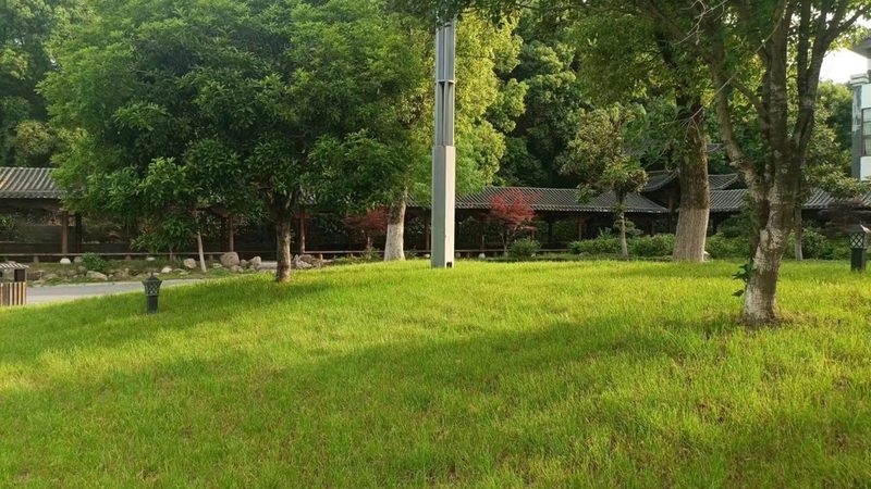 屋顶绿化自动灌溉系统定制：如何打造高效节水型生态空间