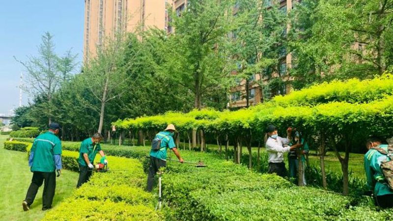 成都庭院灯光布局设计的艺术与科学**