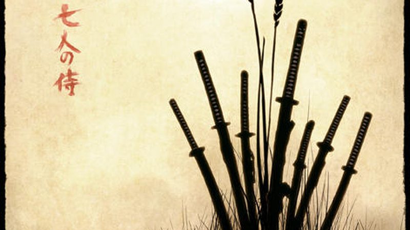 办公室植物墙材质解析：选择与养护**